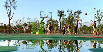 關于云中河景區(qū)西北運動場提升改造的公告