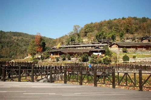 羅家坨苗寨 老百姓吃上旅游飯 上游新聞 匯聚向上的力量