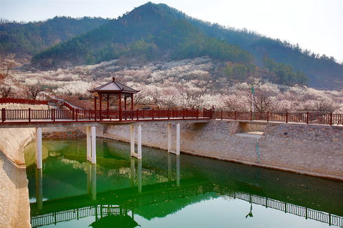 全域發(fā)力精準治理 城陽探索農村人居環(huán)境整治提升新路徑鳳凰網青島