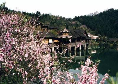 城鎮(zhèn)之源丨景區(qū)精細化管理如何實現(xiàn)?