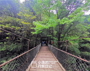 森林湖泊 花海城堡 慢游成都 小瑞士