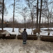 安圖長(zhǎng)白山雪絨花馴鹿園游玩-長(zhǎng)白山雪絨花馴鹿園門票多少錢/價(jià)格表-團(tuán)購(gòu)票價(jià)預(yù)定優(yōu)惠-景點(diǎn)地址在哪里/圖片介紹/參觀預(yù)約/旅游游覽順序及注意事項(xiàng)/營(yíng)業(yè)時(shí)間-】