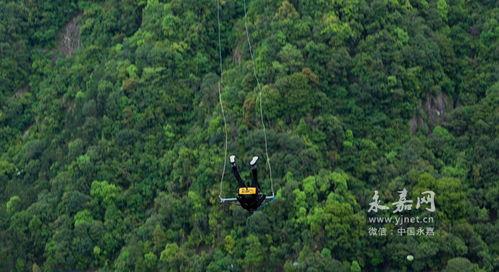 龍灣潭 魔鬼秋千 爆紅全網