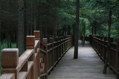 城市管理提質增效丨&ldquo;顏值&rdquo;再提升 官鵝溝大景區掀起環境衛生整治&ldquo;熱潮&rdquo;