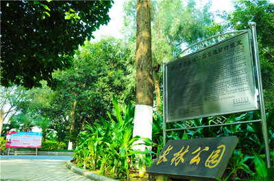 柳州市城市廣場管理處轄區(qū)景點服務項目介紹