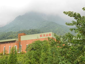 隱藏在5a景區里的飲料廠,幾乎沒有人沒喝過他們的產品