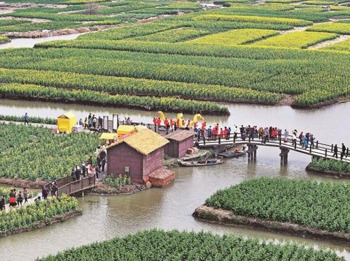 中國文明網聯盟 泰州站