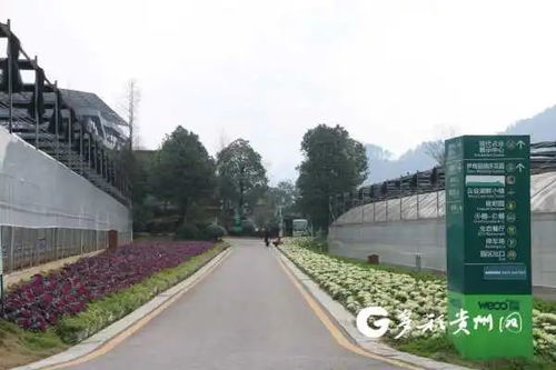 貴州多個(gè)景區(qū)陸續(xù)開園，游覽時(shí)園區(qū)管理服務(wù)與注意事項(xiàng)詳解