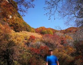 2019平山駝梁風景區游玩全攻略 門票價格、游覽路線、地址與服務詳解