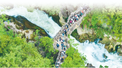 以園區為支點，精準服務與融入新發展格局